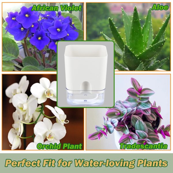 Self Watering Rectangular Planter for Indoor Plants By Planterhoma - Image 5