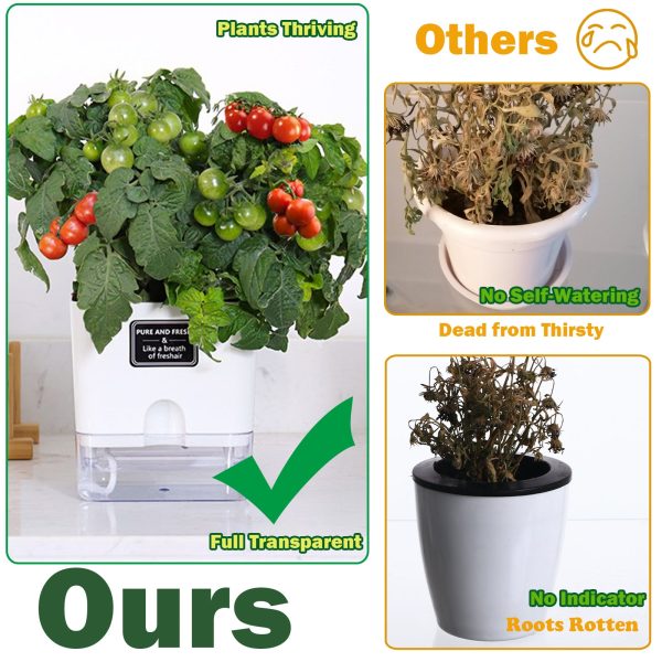 Self Watering Rectangular Planter for Indoor Plants By Planterhoma - Image 6
