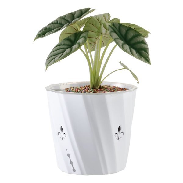 3 Pack 6 Self-Watering Planter with Air Holes And Water Indicator