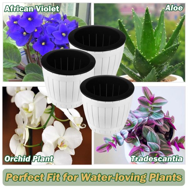 Inexpensive Self Watering African Violet Pot for Sale- Pack of 3 - Image 5