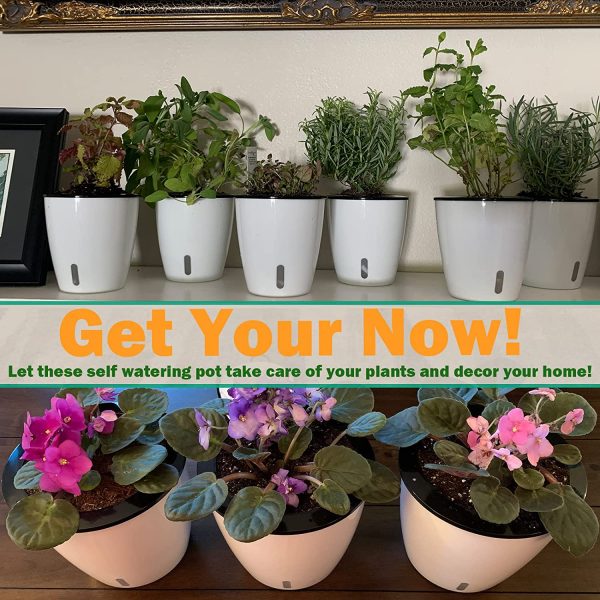 Self Watering Planter for African Violet With Indicator (Clear Insert)