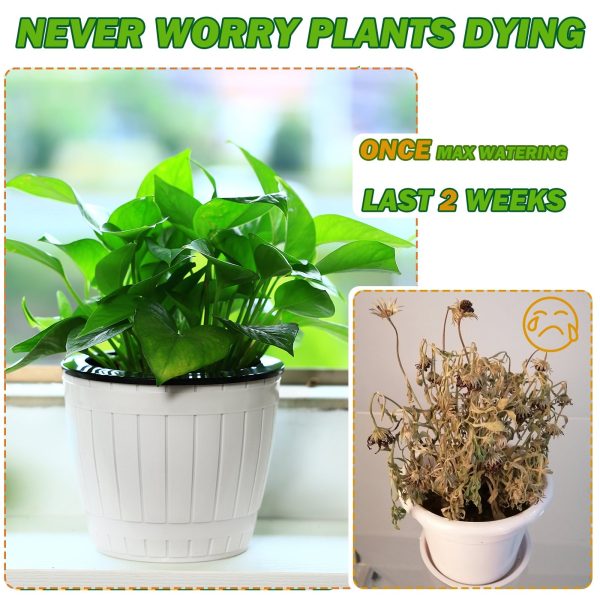 Inexpensive Self Watering African Violet Pot for Sale- Pack of 3 - Image 4