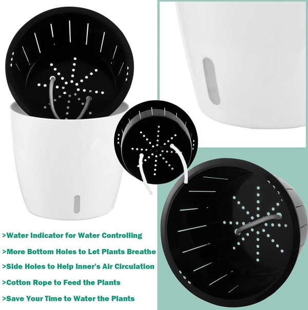 Self Watering Planter for African Violet With Indicator (Clear Insert) - Image 4