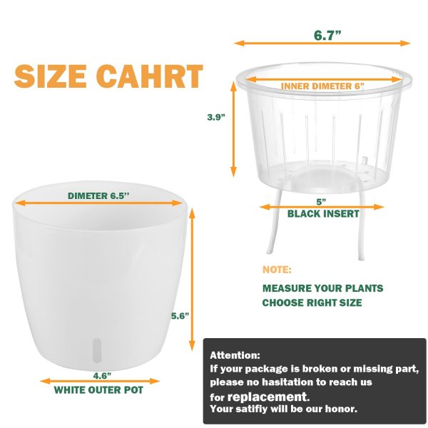 Self Watering Planter for African Violet With Indicator (Clear Insert) - Image 5