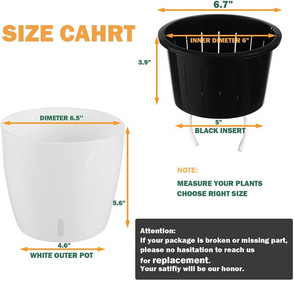 Self Watering Planter for African Violet With Indicator (Clear Insert) - Image 12