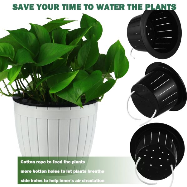 Inexpensive Self Watering African Violet Pot for Sale- Pack of 3 - Image 2