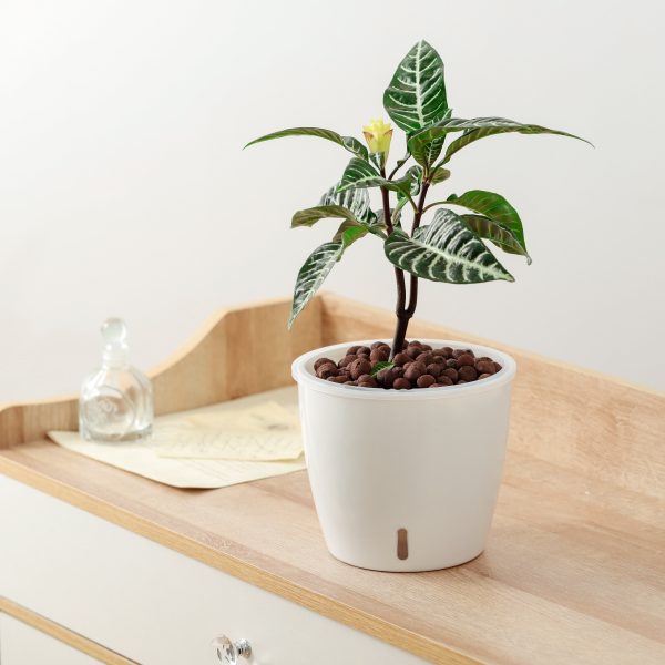 Self Watering Planter for African Violet With Indicator (Clear Insert) - Image 11