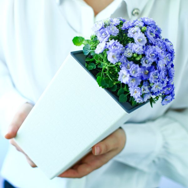 Tall Planter for Indoor Plants Self Watering Planters White Violet Pots Plastic Flower Pots Square Planter - Image 7