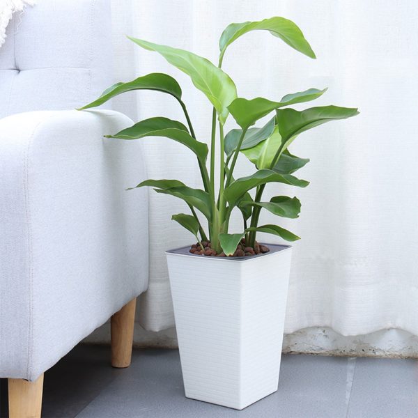 Tall Planter for Indoor Plants Self Watering Planters White Violet Pots Plastic Flower Pots Square Planter - Image 11